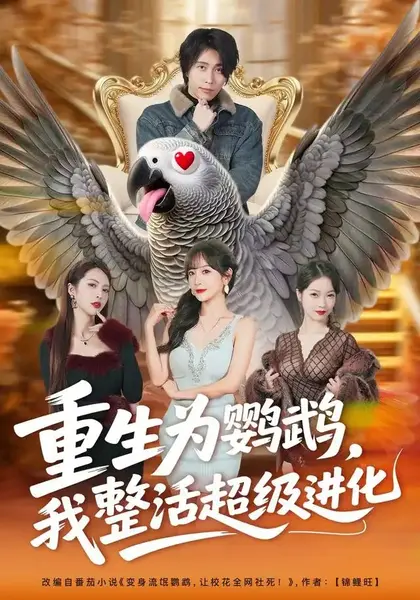重生为鹦鹉，我整活超级进化&重生为鹦鹉我整活超级进化（70集）王钰威＆王琳惠-千尺浪