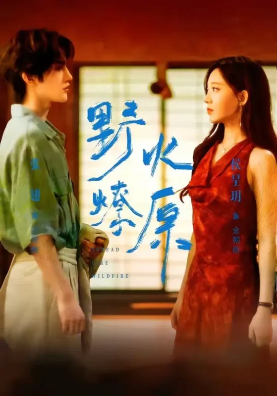 野火燎原（72集）张翅＆侯呈玥|短剧-千尺浪