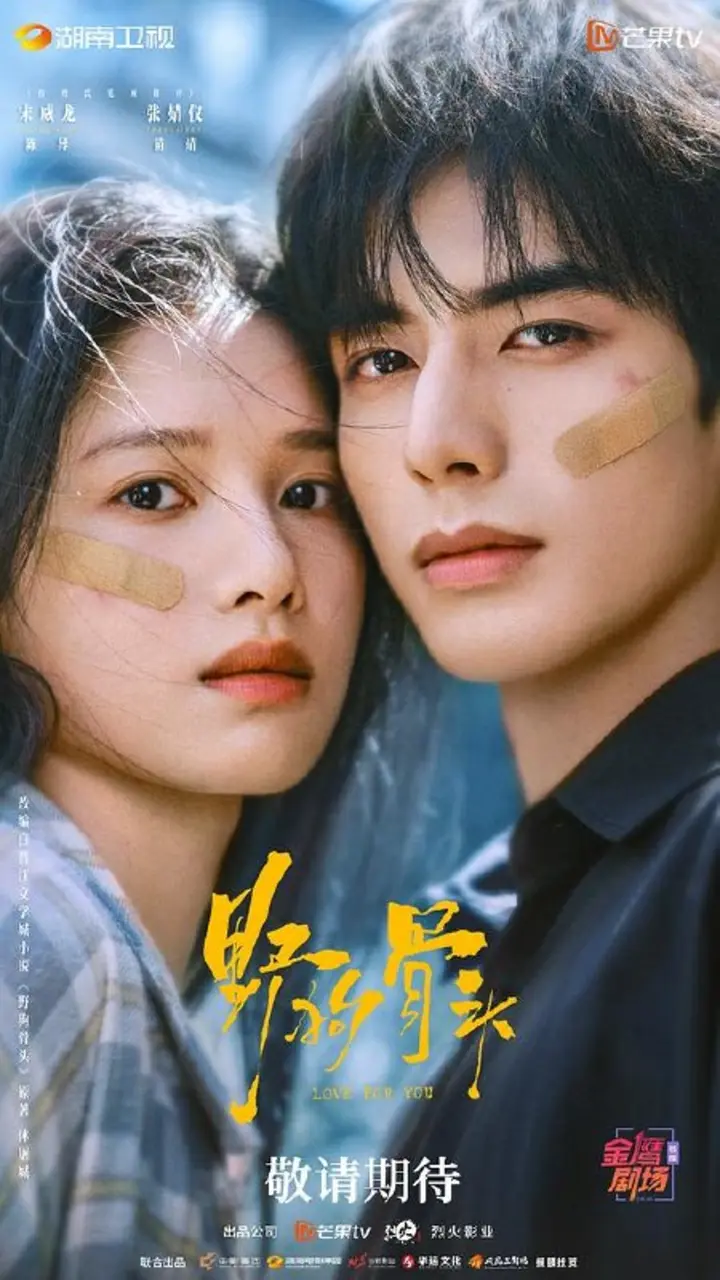 图片[1]-野狗骨头‎ (2026) 4K SDR 高码率 AAC2.0【5GB/集】更04集，宋威龙/张婧仪-千尺浪