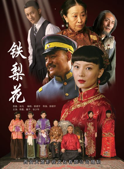 铁梨花 全43集 国语中字 2010 1080P【国剧】-千尺浪
