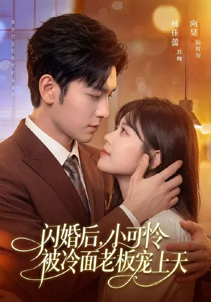 闪婚后，小可怜被冷面老板宠上天（87集）杨佳蕾＆向昊（10😳短剧-千尺浪