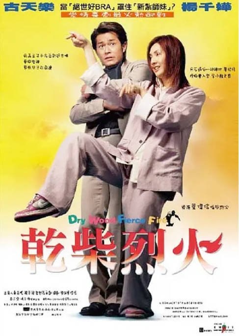 香港电影《干柴烈火》（2002）[夸克网盘]