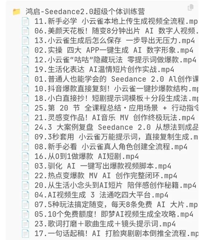 鸿启-Seedance2.0 超级个体训练营-千尺浪