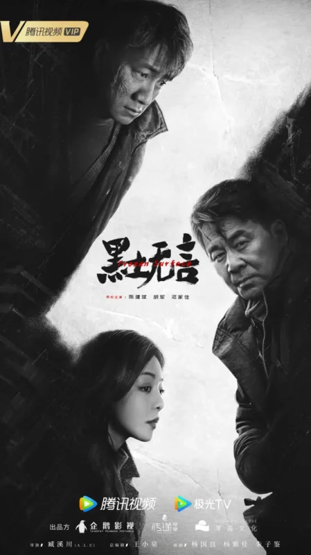 黑土无言 全12集 国语中字 2024 4K【国剧】-千尺浪
