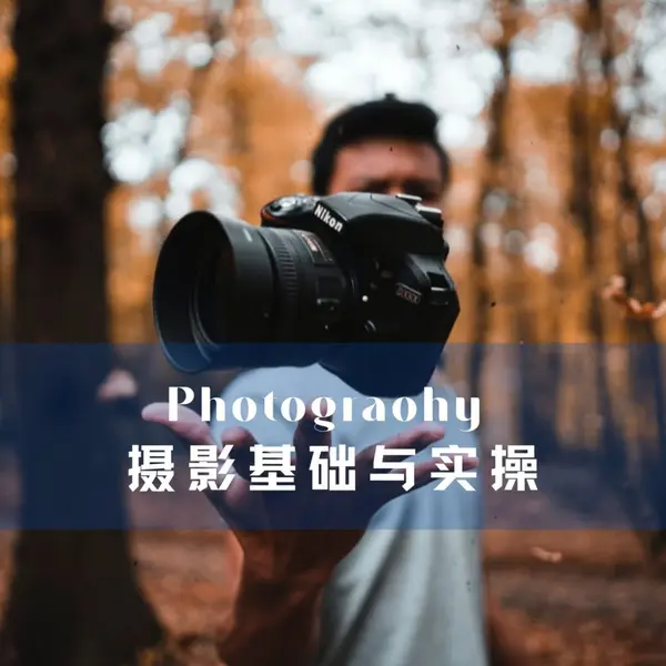 《猫的树摄影课程》-千尺浪