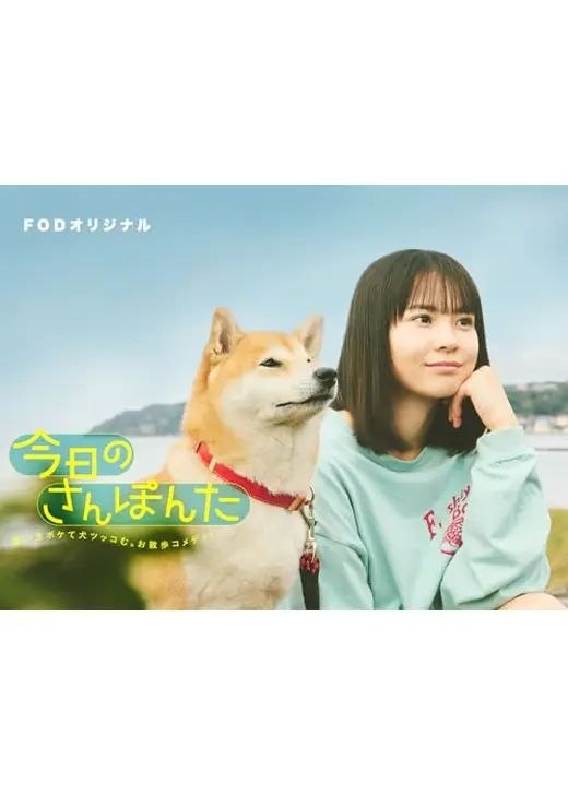 今日份的散步 全8集 日语中字 2025 1080P【日剧】-千尺浪