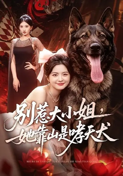 别惹大小姐，她靠山是哮天犬（86集）常珂欣＆刘继泽|短剧-千尺浪