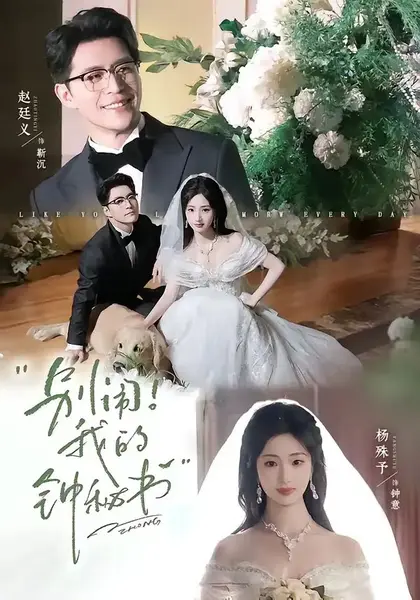 别闹！我的钟秘书（84集）杨殊予赵廷义