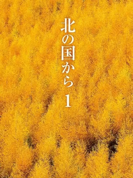 北国之恋 全24集+特别篇 日语中字 1981 720P【日剧】-千尺浪