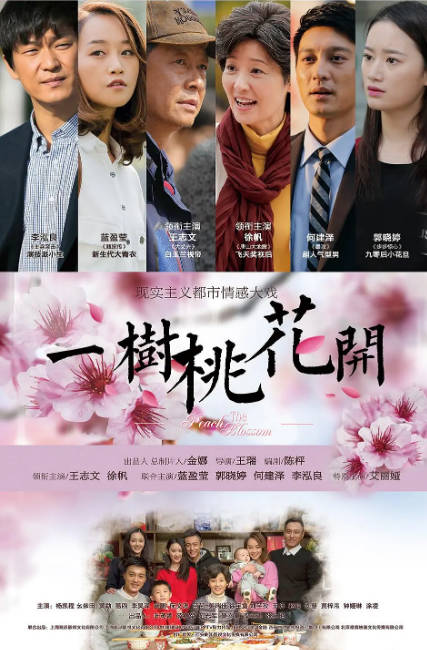 [国剧]《一树桃花开》（2017）[夸克网盘]