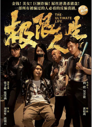 国剧《极限人生》（2026）[夸克网盘]