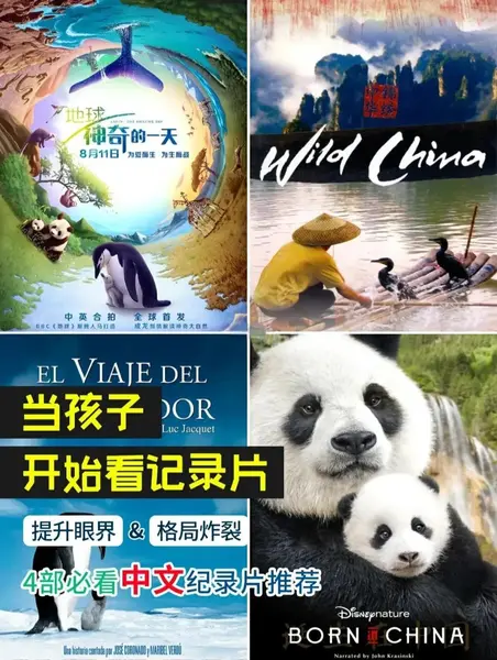 地球：神奇的一天 (2016) 4K [纪录片/自然] BBC Earth 等-千尺浪