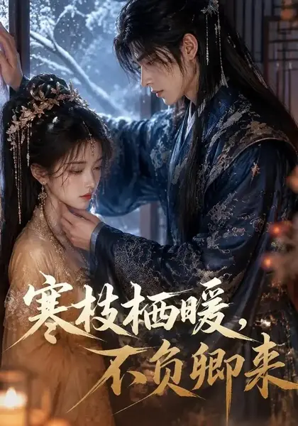 寒枝栖暖，不负卿来寒枝栖暖不负卿来（50集）AI短剧