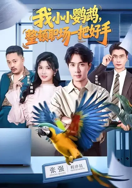 我小小鹦鹉，整顿职场一把好手（62集）朱宏钊＆林念初＆周伟＆|短剧-千尺浪