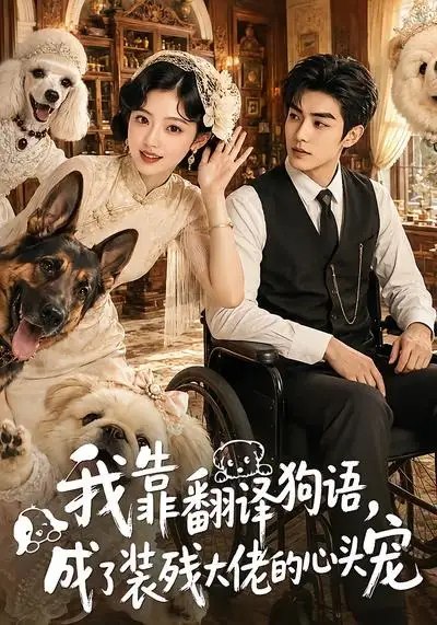 我靠翻译狗语，成了装残大佬的心尖宠&我靠翻译狗语成了装残大佬的心尖宠（80集） AI短剧-千尺浪
