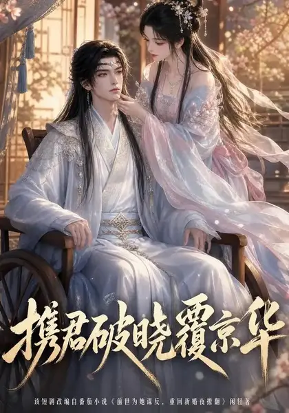 携君破晓覆京华（108集）AI短剧-千尺浪