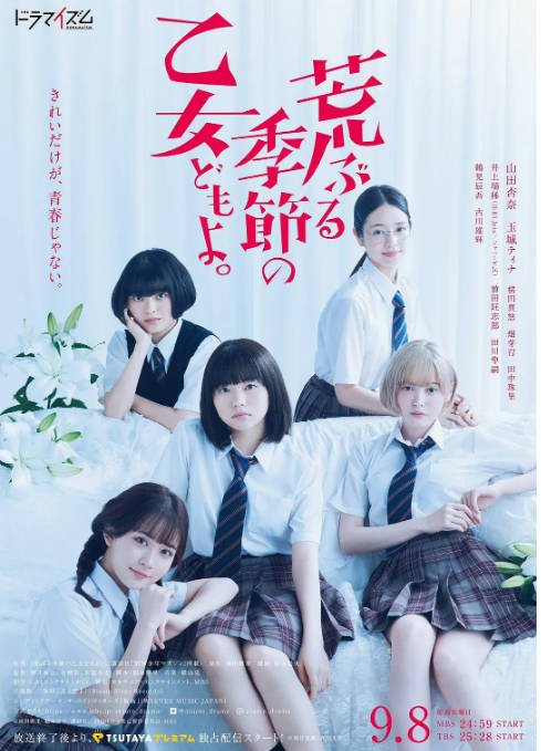 [日剧]《骚动时节的少女们啊》（2020）[夸克网盘]-千尺浪