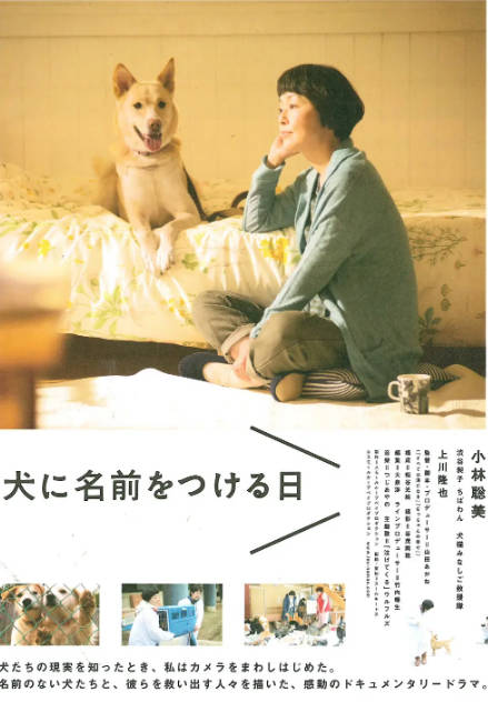 日本电影《为你取名的那一天》（2015）[夸克网盘]