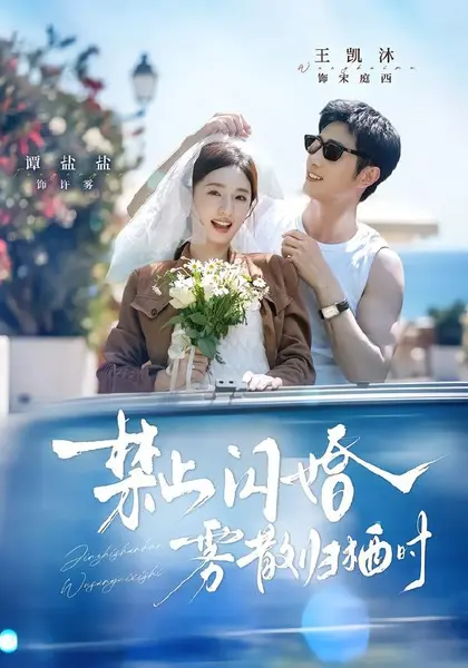 禁止闪婚，雾散归栖时（66集）王凯沐＆谭盐盐（1080P）|短剧-千尺浪