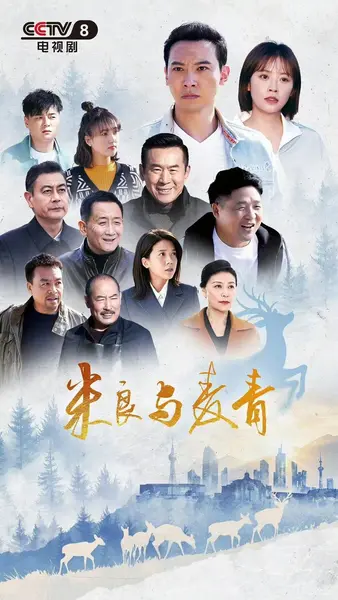 米良与麦青（2026）【4K.HDR.60fps】【26集全】【剧情/爱情】【赵波/瑛子】-千尺浪