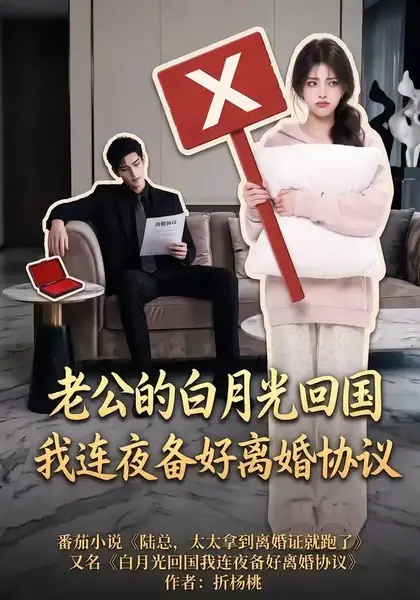 老公的白月光回国我连夜备好离婚协议(100集)AI短剧-千尺浪