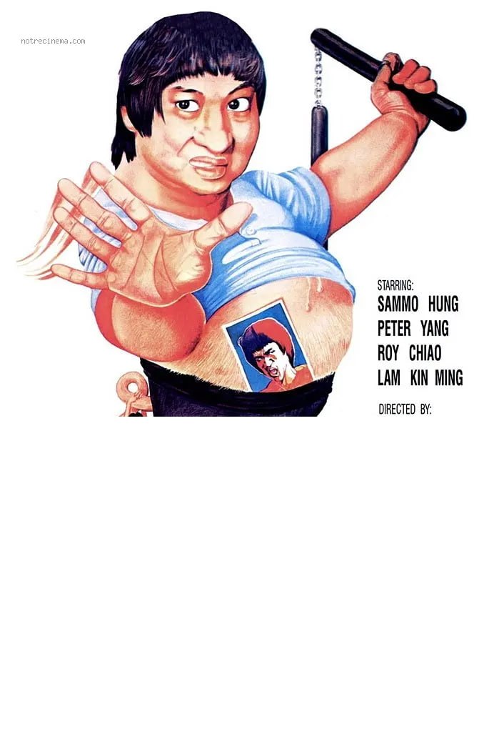 肥龙过江 肥龍過江 (1978)-千尺浪