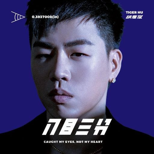 胡彦斌 入目三分 FLAC 24bit 44khz.索尼精选-千尺浪