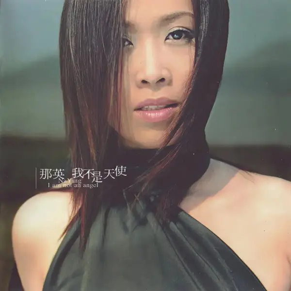 那英 合集 FLAC 分轨