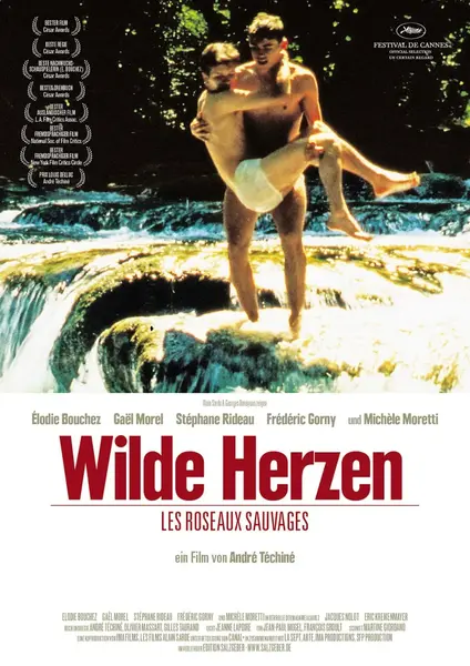 野芦苇 Les roseaux sauvages (1994)