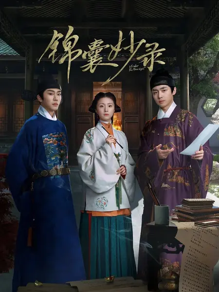 锦囊妙录 (2025)