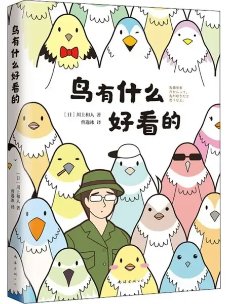 鸟有什么好看的