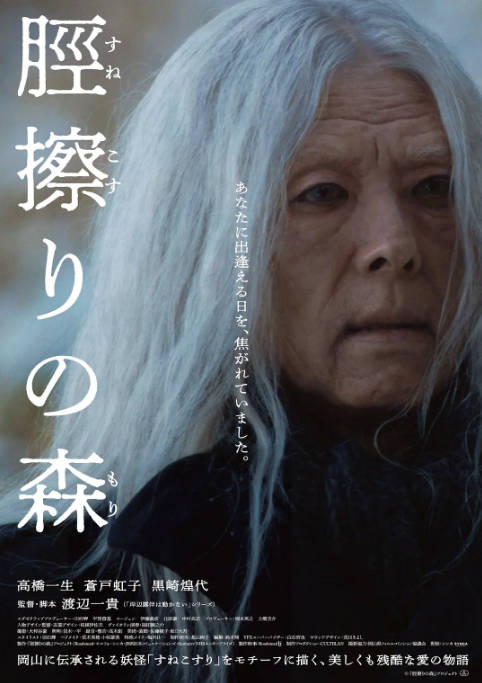 日本电影《胫擦之森》（2026）剧情 / 悬疑[夸克网盘]-千尺浪