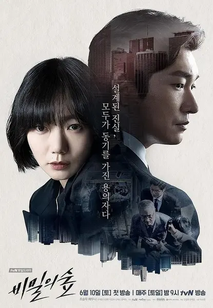 秘密森林（2017） 1080P  豆瓣9.3神作  悬疑/反腐-千尺浪