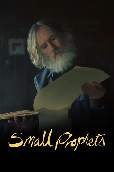 小先知 Small Prophets (2026) S01E01-03 4K DV&HDR 内封简繁英字幕-千尺浪