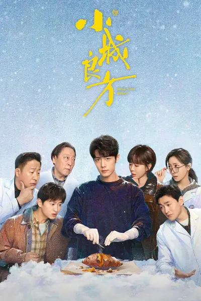 小城良方（2026）IQ 4K 内封简中 更至EP08-千尺浪