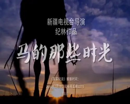 马的那些时光 (2016)-千尺浪